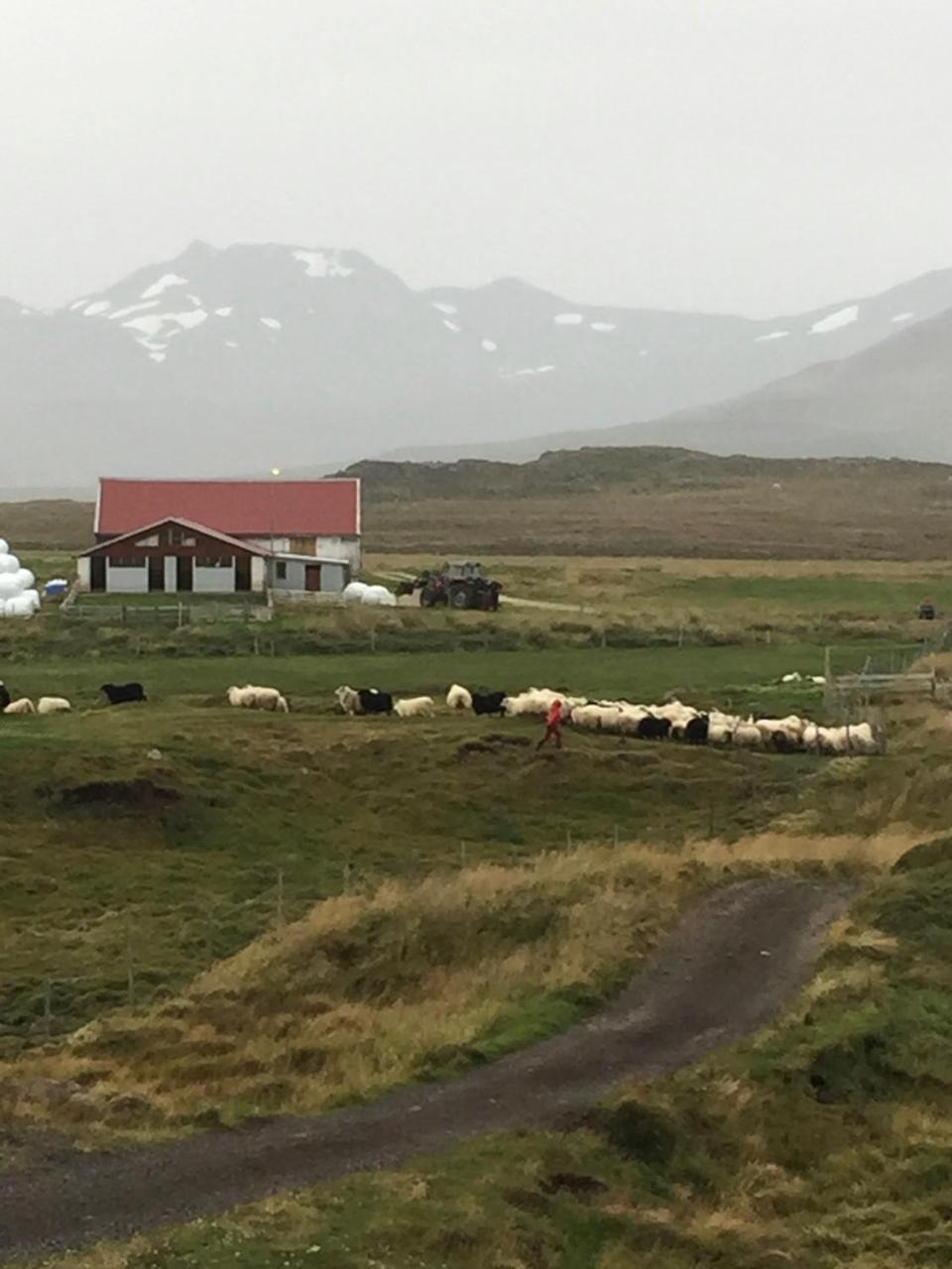 Helgafell Hotel Stykkisholmur Exterior photo